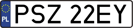 PSZ22EY