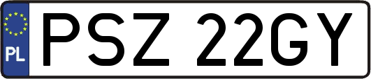 PSZ22GY