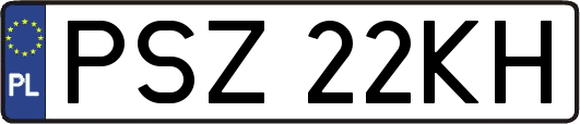 PSZ22KH