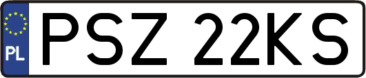 PSZ22KS