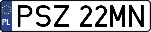 PSZ22MN