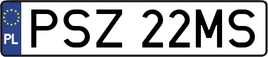 PSZ22MS