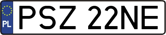 PSZ22NE