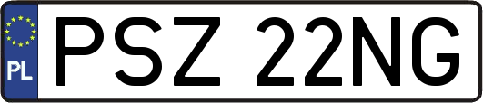 PSZ22NG