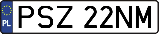 PSZ22NM