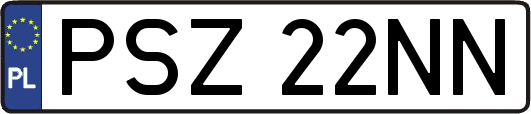 PSZ22NN