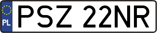 PSZ22NR