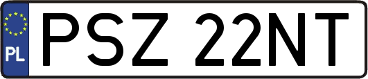 PSZ22NT