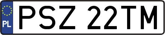 PSZ22TM