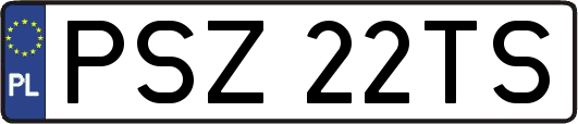 PSZ22TS