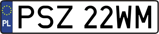 PSZ22WM