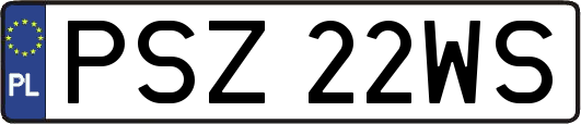 PSZ22WS