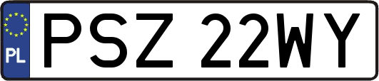PSZ22WY