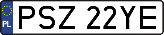 PSZ22YE
