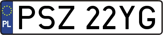 PSZ22YG