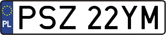 PSZ22YM