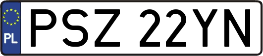 PSZ22YN