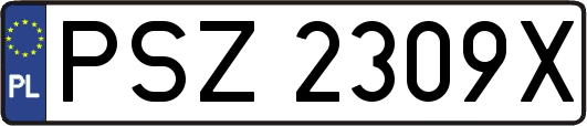PSZ2309X