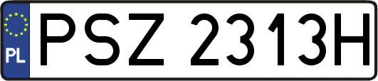 PSZ2313H
