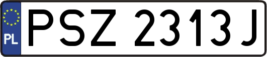 PSZ2313J