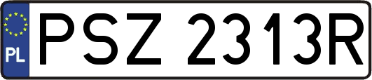 PSZ2313R