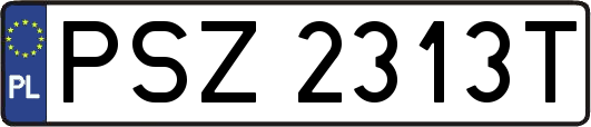 PSZ2313T