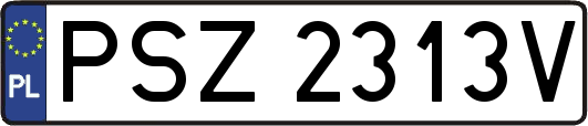 PSZ2313V