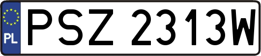 PSZ2313W