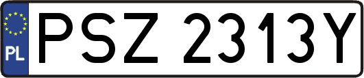 PSZ2313Y