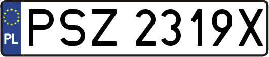 PSZ2319X
