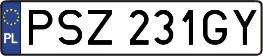 PSZ231GY