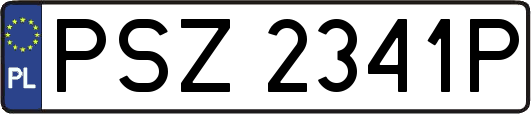 PSZ2341P