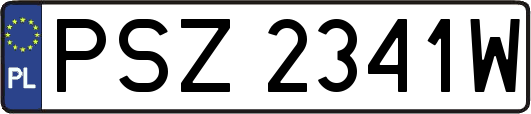 PSZ2341W