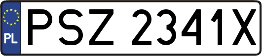 PSZ2341X