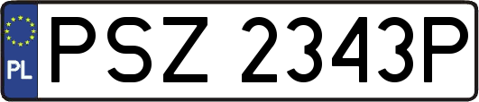 PSZ2343P