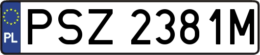PSZ2381M