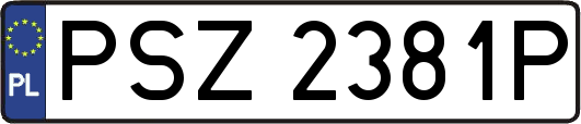 PSZ2381P
