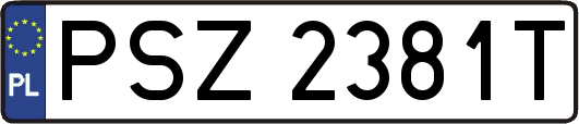PSZ2381T