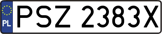 PSZ2383X
