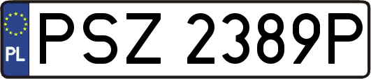 PSZ2389P