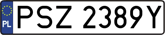 PSZ2389Y