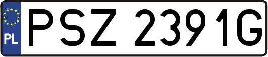 PSZ2391G