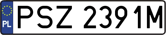 PSZ2391M