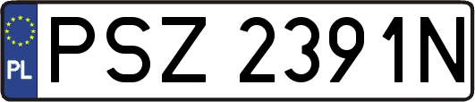 PSZ2391N