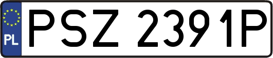 PSZ2391P