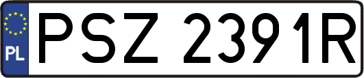 PSZ2391R