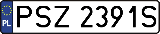 PSZ2391S