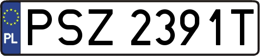 PSZ2391T