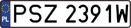 PSZ2391W
