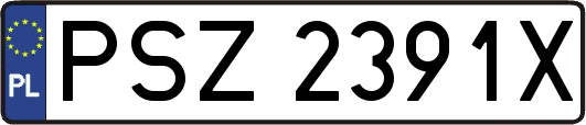 PSZ2391X